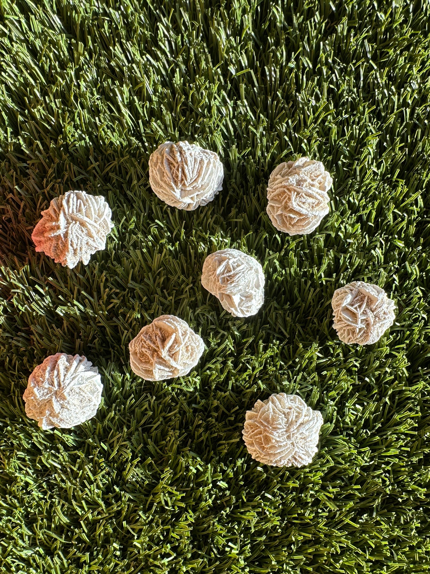 Radiant Selenite Rose Crystals